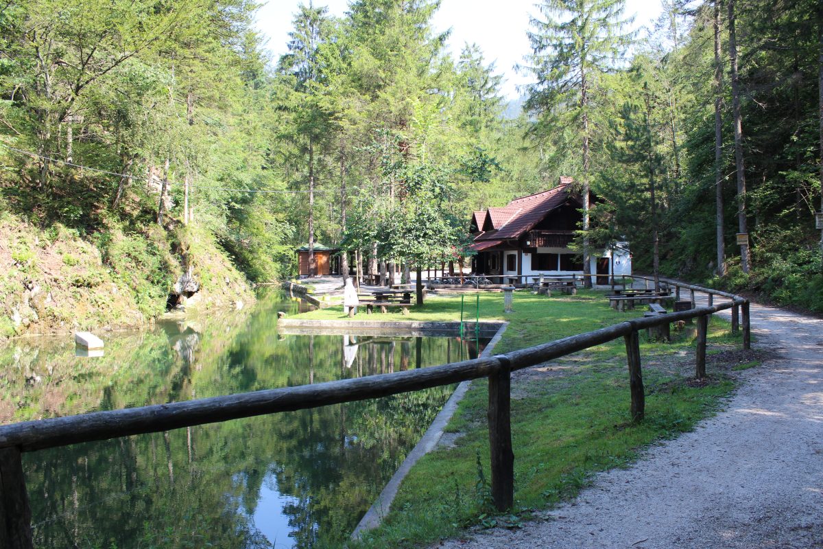 Zavod Lintvern Slike (6)